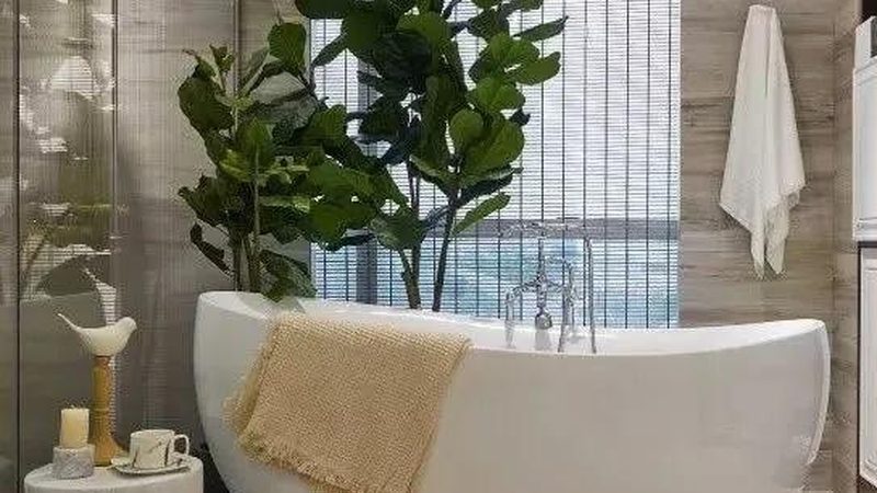 智能马桶一二线品牌对比：揭秘选购要点与误区